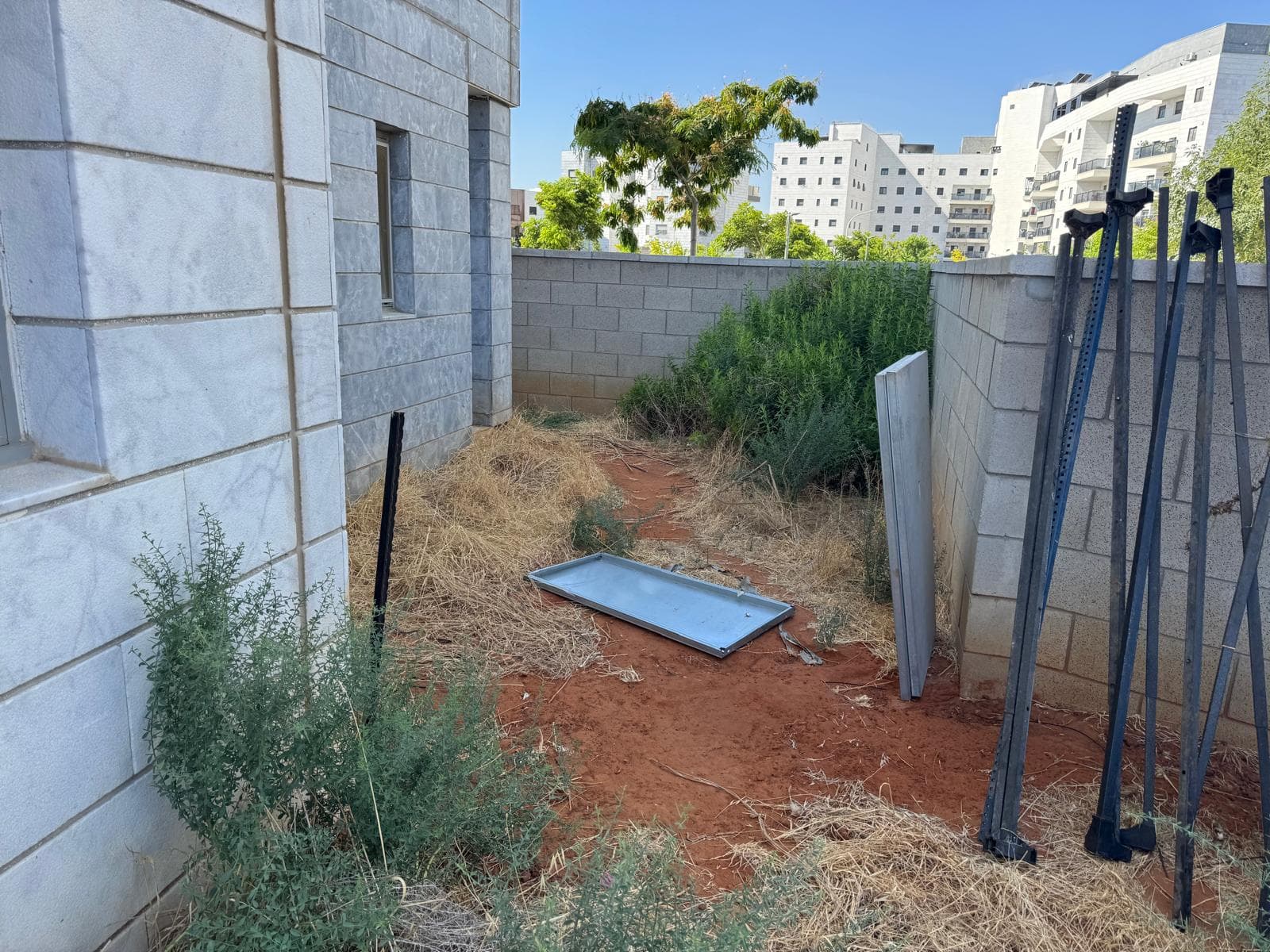 לפני — חצר עזובה עם עשבים שוטים