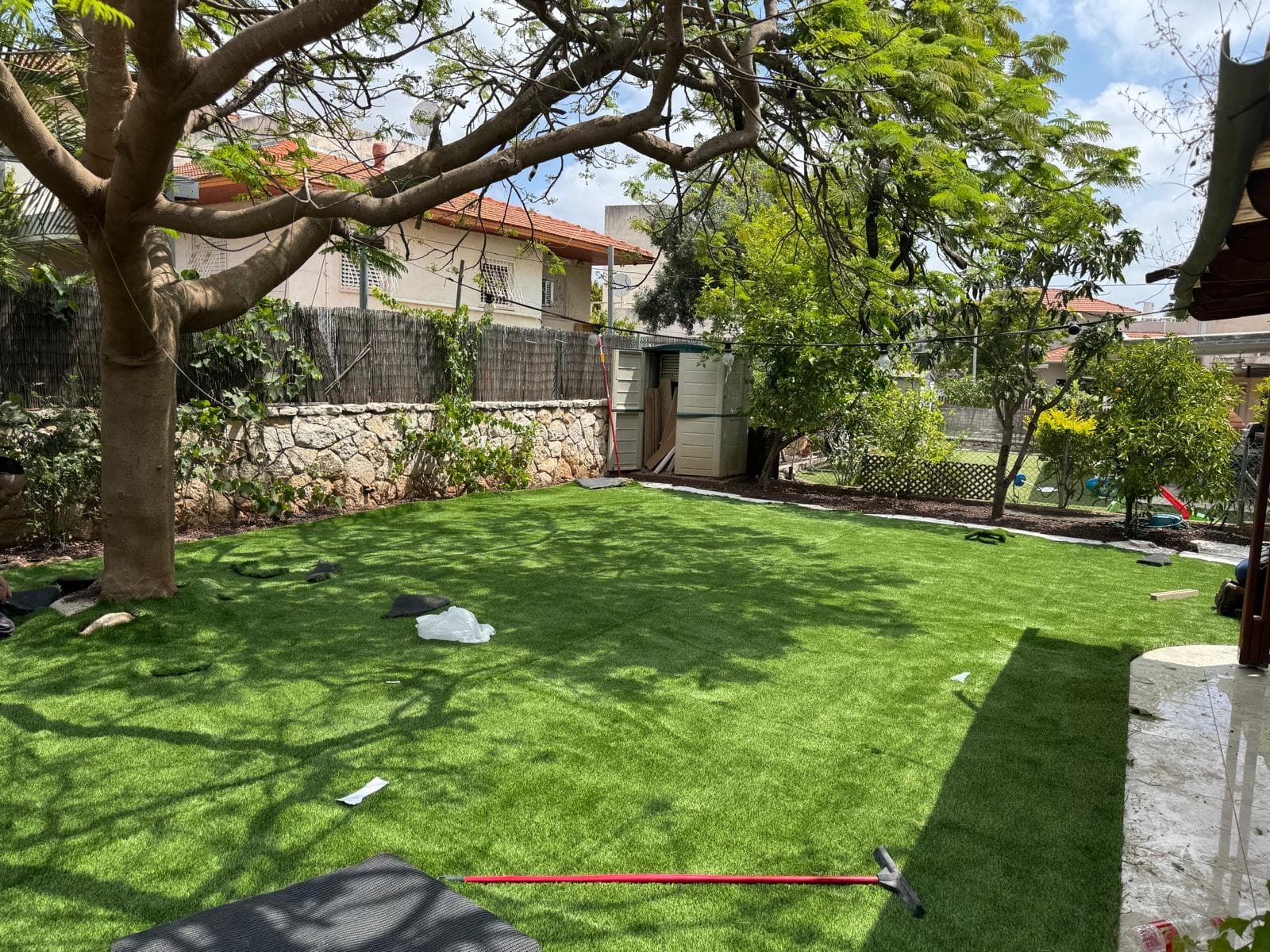 אחרי — גינה ירוקה עם עץ מרשים